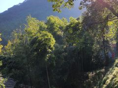 -藏龙百瀑风景区