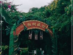 -瑞丽独树成林风景区
