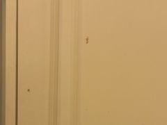 -中旅阿那亚九龙湖·公主酒店