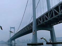-星海湾跨海大桥