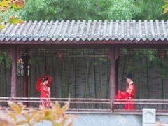 -龙潭水乡