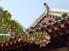 -元大都城垣遗址公园