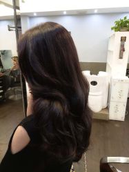 -维卡 Salon