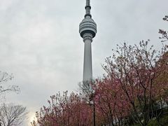 -龟山风景区-龟山电视塔