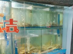 -鹅喜粤·广州味·点心·烧鹅(长隆店)