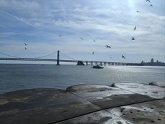 -星海湾跨海大桥