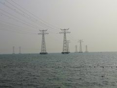 -宝安西湾红树林湿地公园