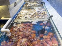 -川骄海鲜自助(河东店)