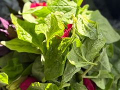 -慢丽江·云南野生菌土鸡锅(西山店)