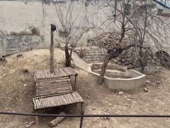 -保定市动物园