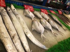 -骏莱海鲜鱼港(五角场店)