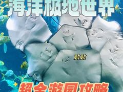 -泉城欧乐堡海洋极地世界