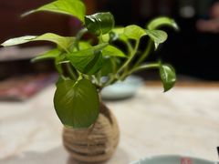 -小吊梨汤·北京菜·烤鸭(四元桥店)