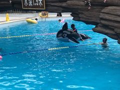 -御龙温泉度假村