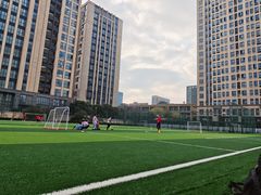 -小赛虎少儿足球培训(南翔校区)