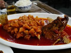 松鼠桂鱼-协和菜馆(凤凰街店)