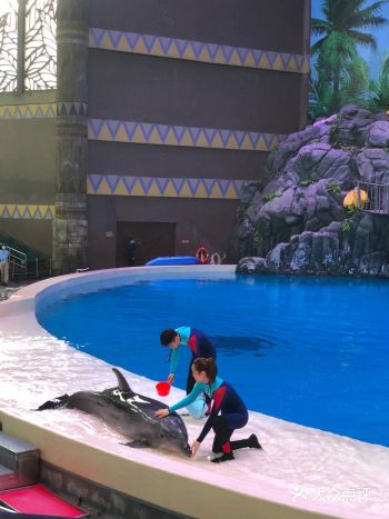 总结小朋友大满足，值得一去啦