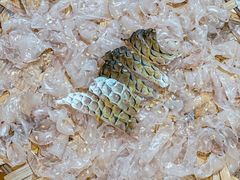 -官塘陈记鱼生·潮汕砂锅粥·牛肉火锅(潮枫路总店)