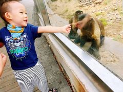 -青岛森林野生动物世界