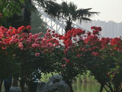-汉水公园