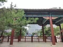 -北陵公园