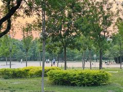 -太阳宫公园