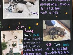 -小时光咖啡馆(开森度假森林店)