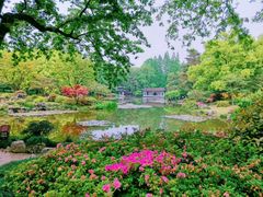 -杭州植物园