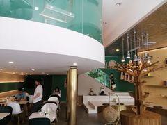 -飞行喵MR PILOT|猫舍·猫咖(静安大融城店)