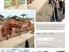 -西安秦岭野生动物园