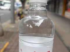 -普陀宗乘之庙(小布达拉宫)