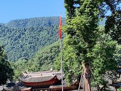 -峨眉山报国寺