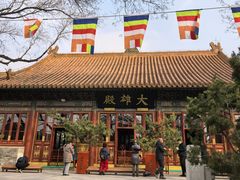 -万龙洲海鲜(安定门店)