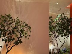-魏客咖啡(中铁中心店)