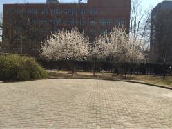 艾美秀专业减肥(复兴门店)-维纳斯专业减肥