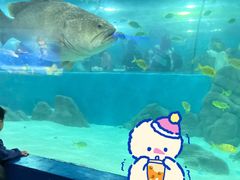 -苏州海洋馆