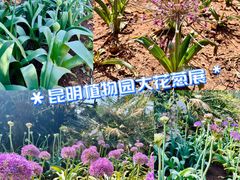 -昆明植物园