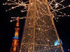 -札幌电视塔