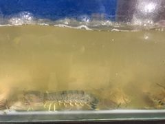 -芽庄老成都川菜馆