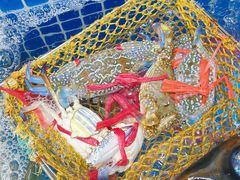 -双月饭店·20年老字号(新村店)