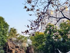 -上海虹桥宾馆(郁锦香品牌酒店)