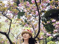 -上海瑞金洲际酒店