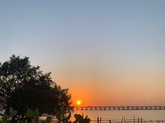 -宝安西湾红树林湿地公园