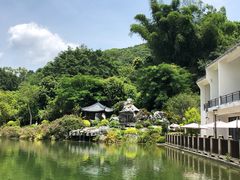 -谷丰健康凤贤居酒家