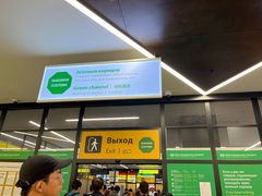 -谢列梅捷沃国际机场