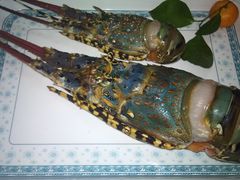 花龙虾-广州花园酒店-凌璇阁360度高空海鲜自助餐CAROUSEL