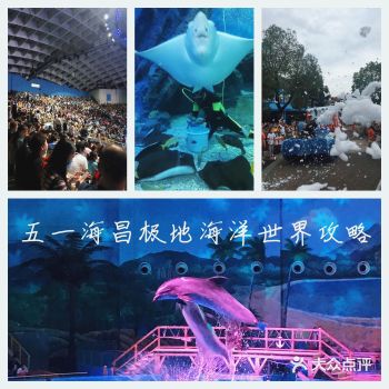 五一武汉海昌极地海洋世界出行攻略