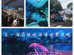 -海合安武汉极地海洋公园