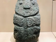 -美国自然历史博物馆