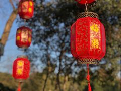 -无锡梅园公园